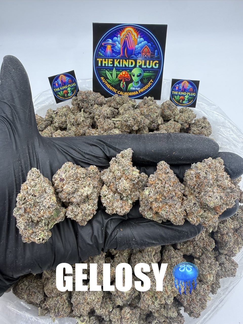 GELOSY Slide 1